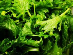 -黔府豆米火锅野菜馆(南马店)