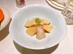 -西郊5号·Maggie 5