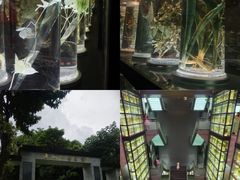 -广东中医药博物馆
