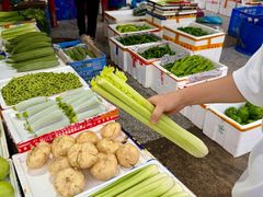 -细村农贸综合市场