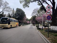 -云南师范大学(一二一西南联大校区)