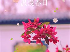 -水西公园
