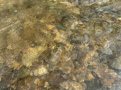 -藏龙百瀑漂流
