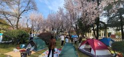 -玄武湖景区-情侣园游乐场