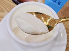 双皮奶-古春堂凉茶甜品(拱北口岸店)