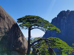 -黄山风景区