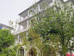 -龙坞茶村
