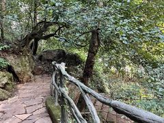 -普者黑风景区-青龙山