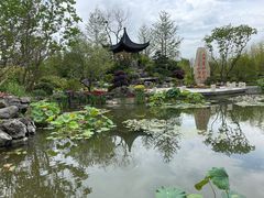 -东平国家森林公园