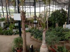 -武清南湖绿博园