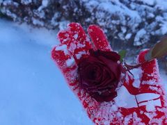 -万源龙顺度假庄园生态观光园