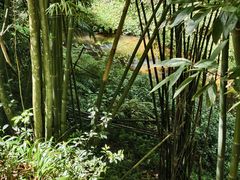-凤栖山