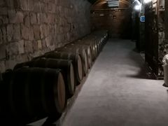 -青岛葡萄酒博物馆