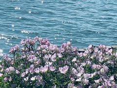 -苏州上方山国家森林公园