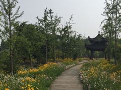 -南湖湿地公园