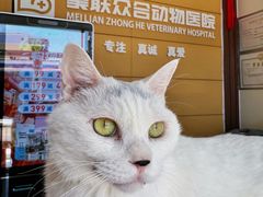 -美联众合动物医院·24h京西诊疗中心