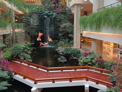 -广州白天鹅宾馆