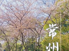 -红梅公园