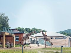 -哈尔滨北方森林动物园