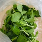 快手健身餐之营养美味的清炒鸡毛菜