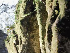 -山王坪喀斯特国家生态公园