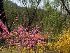 -南翠屏公园
