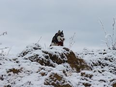 -太子岭滑雪场