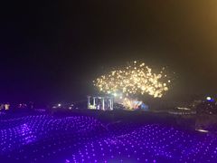 -大塘金香草谷
