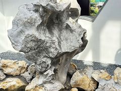 -丫丫蟹庄·苏式园林农家乐·阳澄湖大闸蟹(阳澄湖莲花岛店)