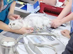 -康成宠物医院24H·CT·核磁共振