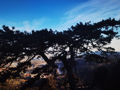 -北京西山国家森林公园