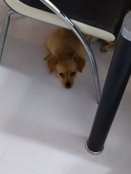 -奥丽维娅美容养生会所