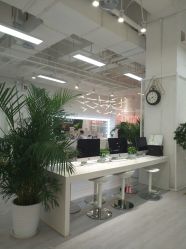 -P.STYLE派斯造型