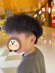 -YESIDO椰岛造型