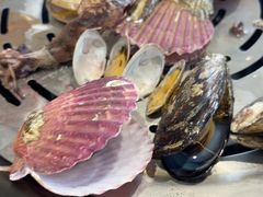 -大锅强·蒸海鲜青岛菜(吾悦广场店)