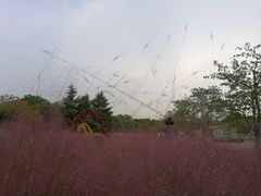 -上海植物园-4号门售票处