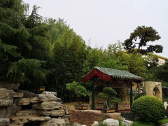 -新川办餐厅
