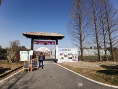-广富林郊野公园