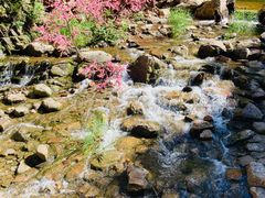 -湖洞水自然风景区