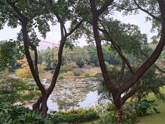 -云溪植物园