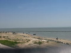 -合肥滨湖国家森林公园