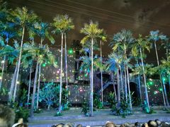 -三亚红色娘子军演艺公园景区