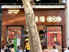 -阳阳老火锅(小南门店)