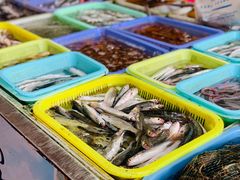 -南沙十九涌渔人码头-南门