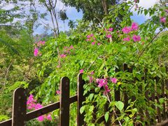 景点-槟城植物园