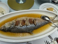 -席家花园(巨鹿花园店)
