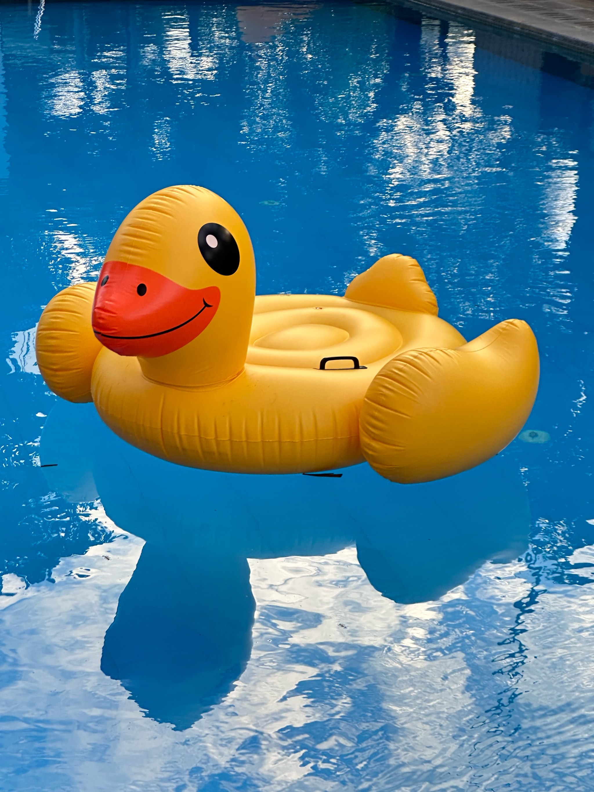 弥勒|⛱️游泳池畔慵懒时刻