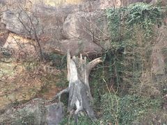-宝岩生态观光园