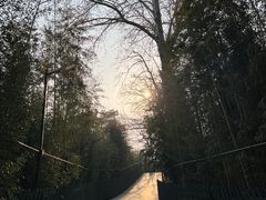 -红螺寺