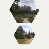 武汉值得打卡的景点（三十九）